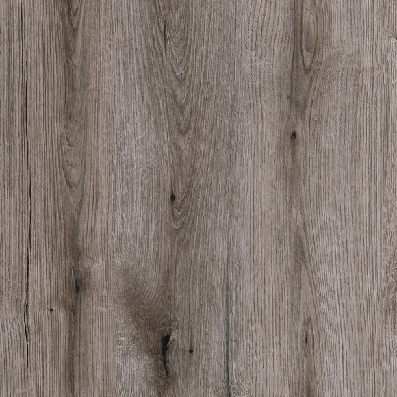 Fossil Evoke Oak K366