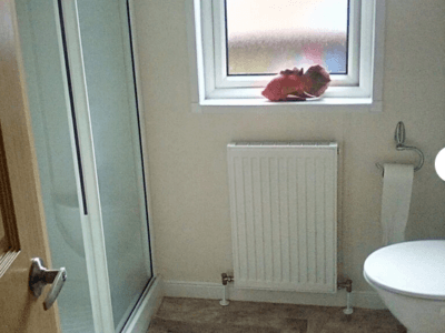 LakeView Lodge. Trevella Holiday Park