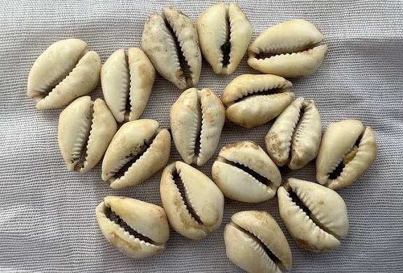 The Best Powerful Trustworthy Spiritual Herbalist Man And Native Doctor In Nigeria