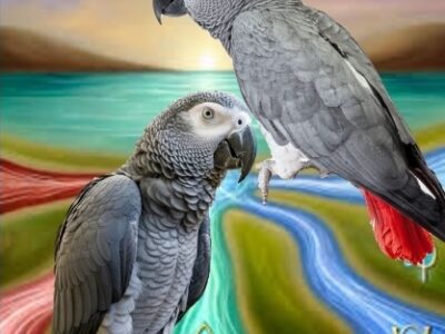 The Best Powerful Trustworthy Spiritual Herbalist Man And Native Doctor In Nigeria