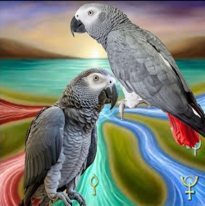 The Best Powerful Trustworthy Spiritual Herbalist Man And Native Doctor In Nigeria